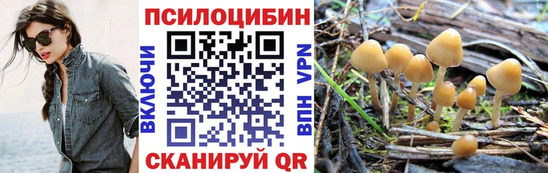 Галлюциногенные грибы мицелий  Вилюйск 